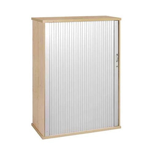 Impact Roller Door Cabinet