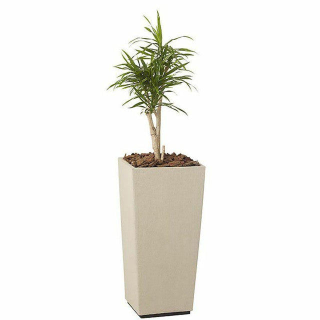 Eco Fibre Sqaure Tapered Planter