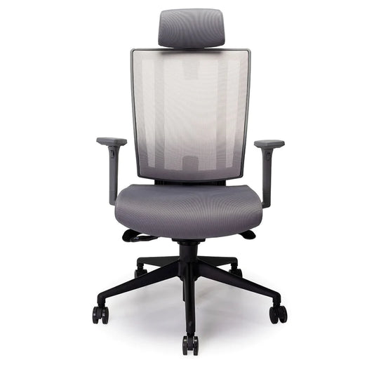 NetOne High Back Ergonomic Chair - Grey Frame