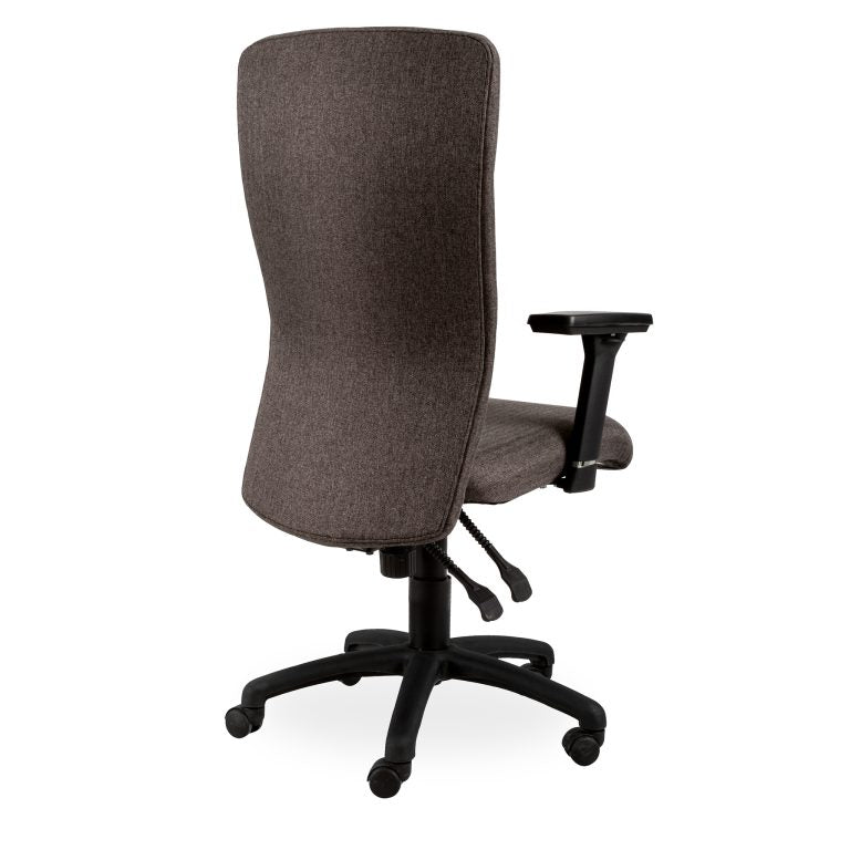 Spine Ergonomic Chair